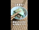 ごま香る！鯖缶ときゅうりのおつまみサラダ 【VOICEVOXキッチン】