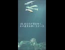 02.あなたが前を向く、その速度を歌いたかった【XFD】『海色に溶かして』