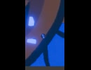 アンタに言ってんの！！Ballanimation