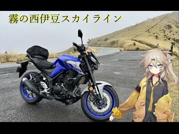 【バイク車載】伊豆のスカイラインを走ってきた