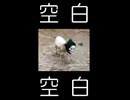 ピ九ニッ900