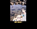 【ショート】函館市 水無海浜温泉