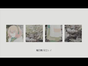 籠目蘭/足立レイ