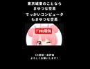 でっけぇコンピューターはまゆつな空高 デカ丸電気 CM 1990年代後半～2000年代前半 ショート15秒（YouTube版）