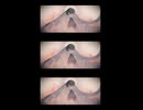 Coup d'État / シータ feat.Nyotuki -Short-