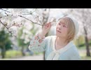【市川】ハルイチ。 踊ってみた【桜】