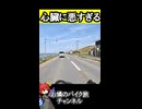 【閲覧注意】普通に危険　DIOがいる……