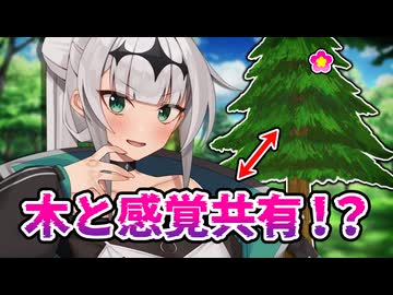 花盛りの木と感覚共有してしまったクロワちゃん【COEIROINK劇場】