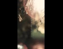 ありふれた世界の終わりのように - Ayame