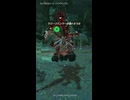 【ティアキン】ウチコエの根付近のライネル ゼルダの伝説ティアーズオブザキングダム