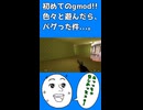 初めてのgmod実況！！けど、色々とバグが多かった...。