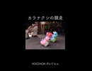カラナクシの競争