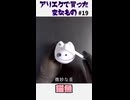 猫魚を買った！