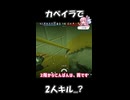 ラグは友達(シージ動画)