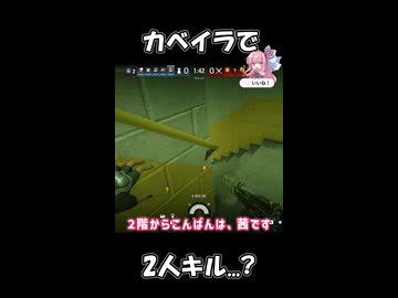 ラグは友達(シージ動画)