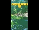 はやすぎwかわいくて笑っちゃうよね【モンスターハンターストーリーズ3】 #モンハン #たくそうtv #家族実況