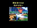 【EXVS2IB】何を当てたか分からない