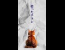 【創作短編】拾ったチラシ