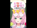 ヤン・ナリの”ヤン”の意味を教えてくれるけど急に怒るナリちゃん
