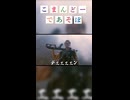 【こまんどーであそぼ】シュワルツりゅうば
