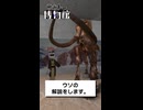 テキトー博物館　ケナガマンモス