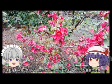 ゆっくり農民283畑を拓いてみませんか？#50