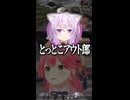 『誰も思いつかないワード』を爆誕させてしまったホロメンたち 【ホロライブ切り抜き/ホロライブ/さくらみこ/大神ミオ/猫又おかゆ/常闇トワ/鷹嶺ルイ 】