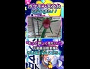 ポケモン天文台に行ってきた！！！