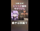 ドジっ子義賊ゆかりさん【神業 盗来】