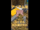 【マイクラ】アイテムをたくさん持ち運びたい