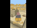【マイクラ】コレクターズアイテムが追加されました