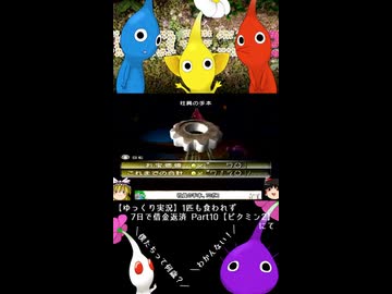 大人になれば分かる...【ピクミン2】