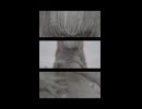 ウチの宮舞モカさんはデスボイスが上手です
