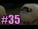 【実況】サブクエほんとにおわり！【LRFF13】#35