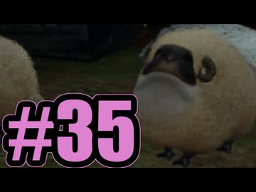 【実況】サブクエほんとにおわり！【LRFF13】#35