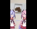 ヒメミコ家庭菜園 その1 「青じその種を見てみよう！」（ショート版）