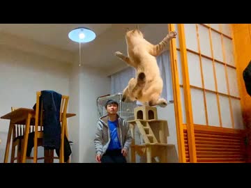 衝撃的な映像が撮れました