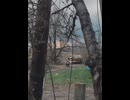 Evacuation of a wounded □□Ukrainian soldier using ground drones. Ground drones are being used more