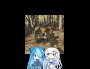 変なキャンプ跡を見つける雪さんとビィちゃん☃️❄️【フォールアウト76】