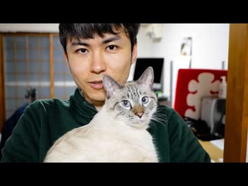 猫とアラサー独身男性の二人暮らしのナイトルーティン【Night Routine】＜2019冬＞