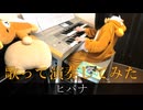 ヒバナ　歌って演奏してみた【Ｃナ】