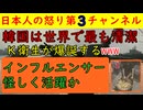 【韓国は世界一の衛生大国ニダ！草】怪しげなインフルエンサーを使い必死に韓国の衛生度を英紙に述べさせるテクニックを使用しているものの内容と裏事情がバレバレ