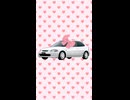 チョコミントよりVTEC