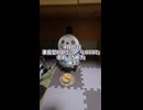 【LOVOT】4月16日　家族型AIロボット「LOVOT」　「さぬき」誕生【LOVOT生まれたよ】