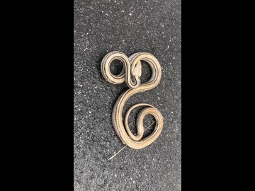 寒くってもねえ、自然を受け入れるんだよホラ