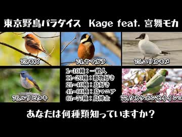 東京野鳥パラダイス[あなたは何種類知っていますか？]