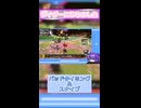 やっとライドからライダーになれた 【カービィのエアライダー】【生声】