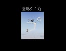 空飛ぶ「プ」