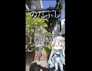 雪さんのナレーションで見る 2026年の「のだふじ」