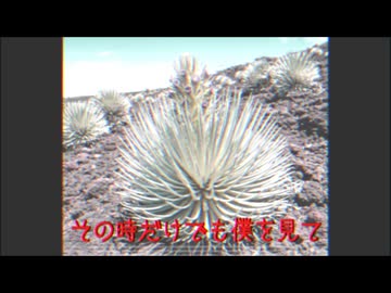 銀剣草が咲く頃に／初音ミク